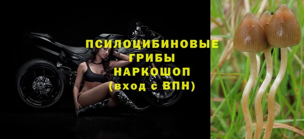 марки nbome Пестово