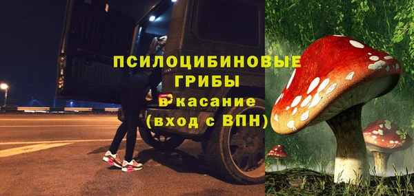 стаф Гусев