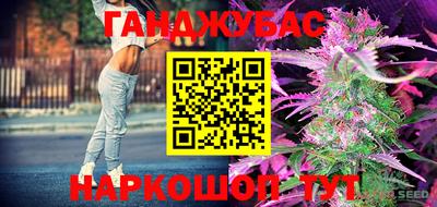 дурь Пугачёв