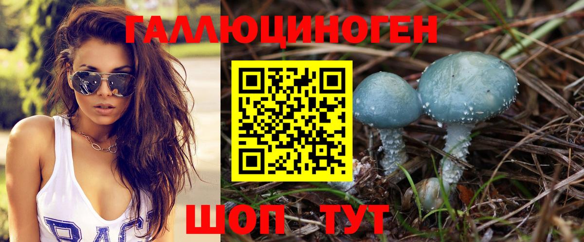 Псилоцибиновые грибы ЛСД Сальск