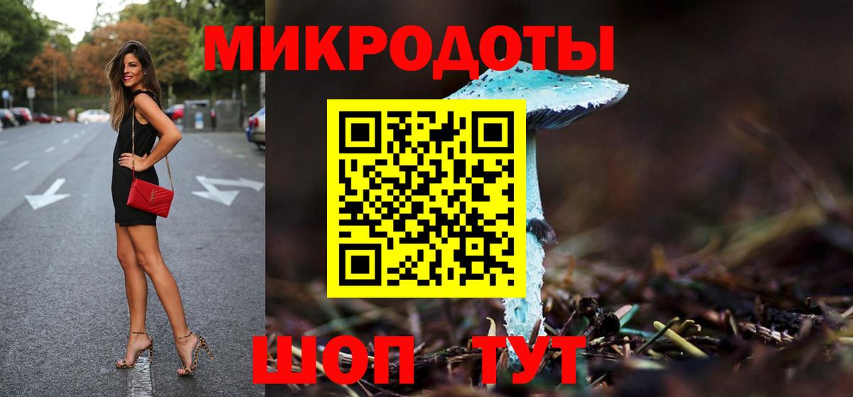 Галлюциногенные грибы GOLDEN TEACHER  Вход с VPN  Галлюциногенные грибы GOLDEN TEACHER  Сальск 